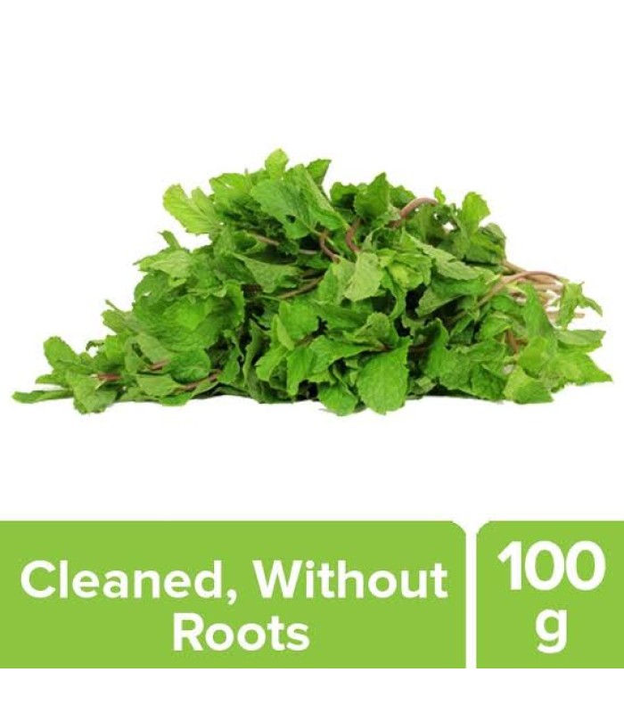 mint-leaves-100g-pudhina