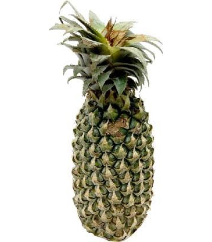 pineapple-1unit