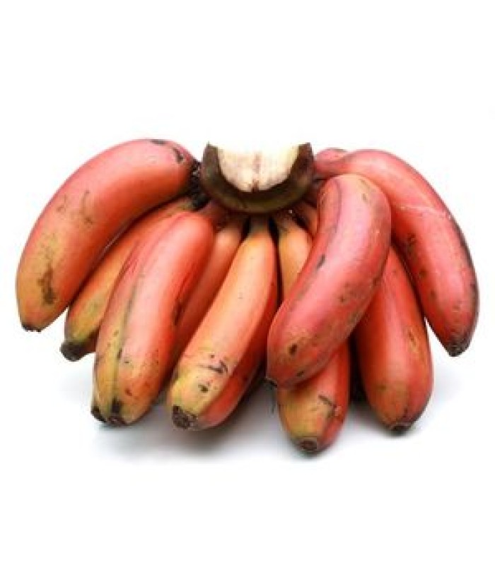 red-banana-500g