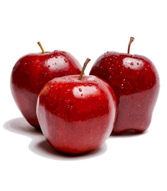 washington-apple-(500-600g)-red-delicious-apple