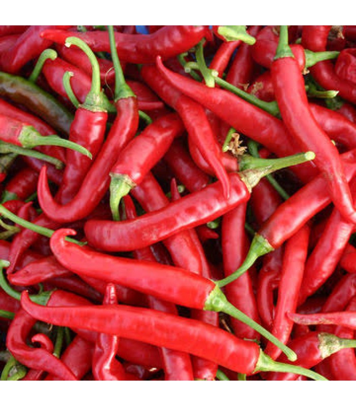 dry-red-chilli-1k-mirchi