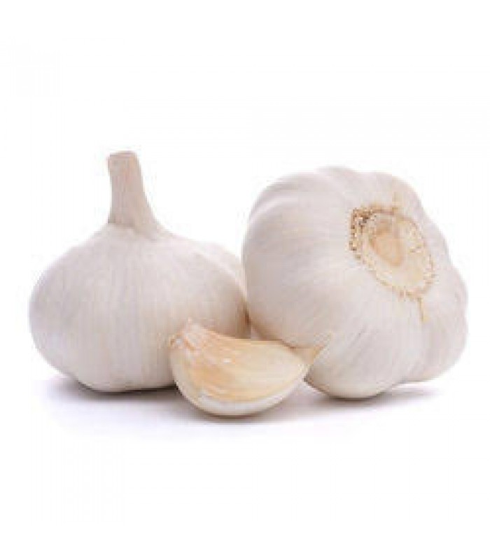 garlic-1k