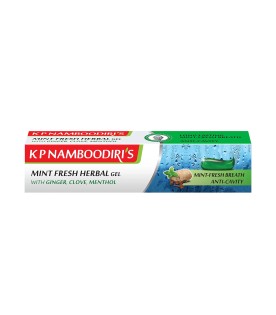 namboodiri-mint-fresh-herbal-gel-toothpaste-100g