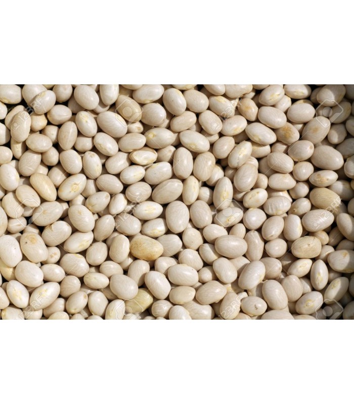 white-soya-beans-500g