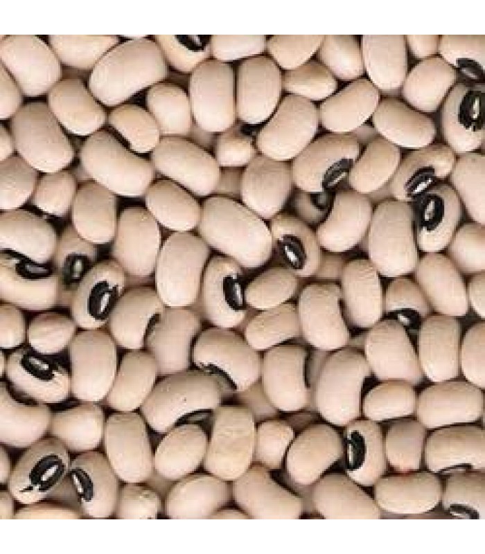 white-soya-bean-500g